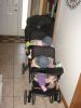 7 months 038.jpg